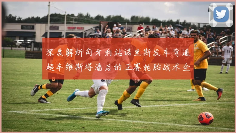 深度解析匈牙利站诺里斯发车弯道超车维斯塔潘后的正赛轮胎战术全貌