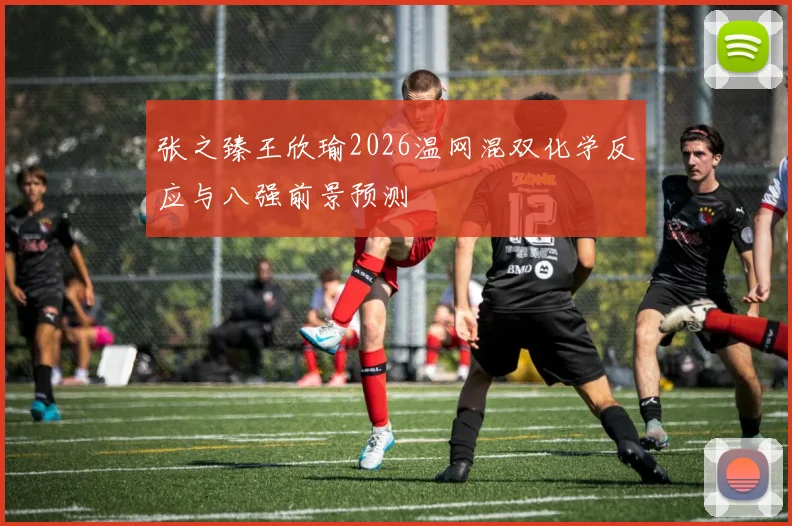 张之臻王欣瑜2026温网混双化学反应与八强前景预测